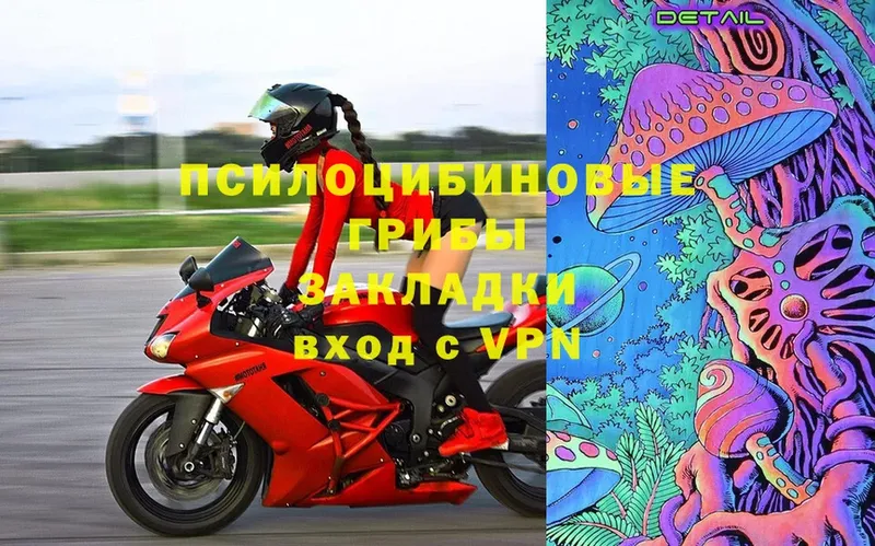 Галлюциногенные грибы Magic Shrooms  Мурино 